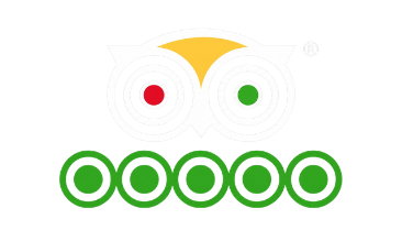 Tripadvisor India Travel Arts