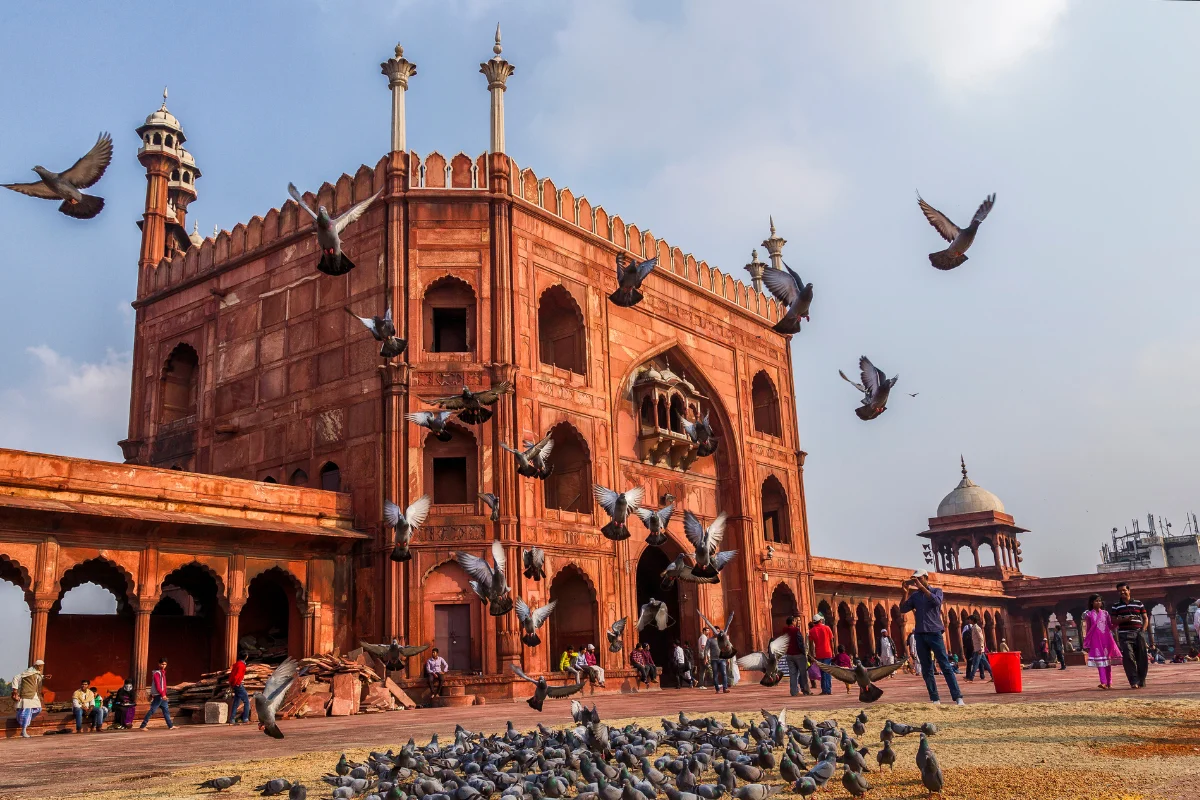 voyage a delhi