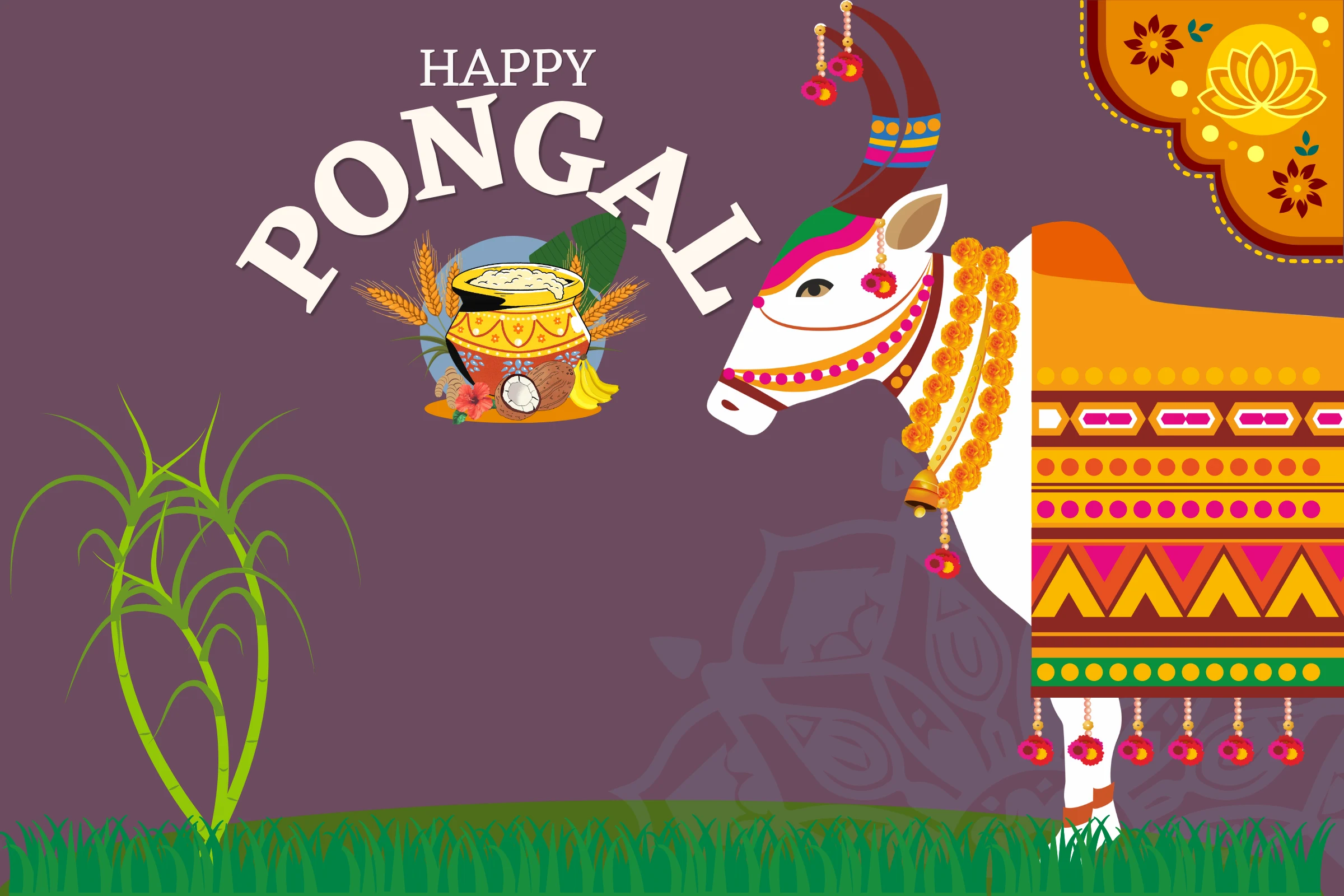 Pongal : immersion culturelle en Inde du sud
