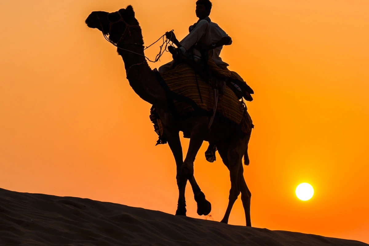 Grand Circuit le Rajasthan 16 Jours & Safari Tigre