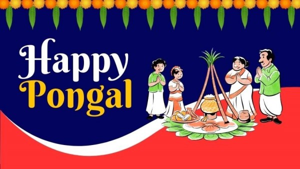 Pongal : immersion culturelle en Inde du sud
